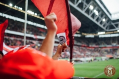 FortunaHeidenheim2017 (97 von 234)